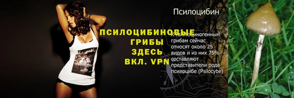 apvp Абаза